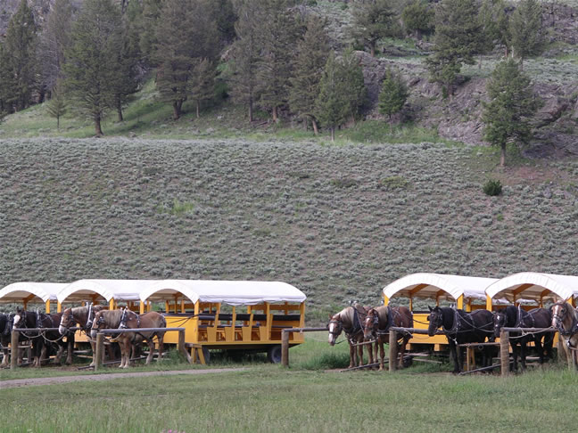 images/Cookout trip (16).jpg